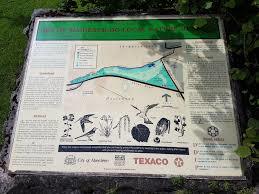 Den of Maidencraig Nature Reserve